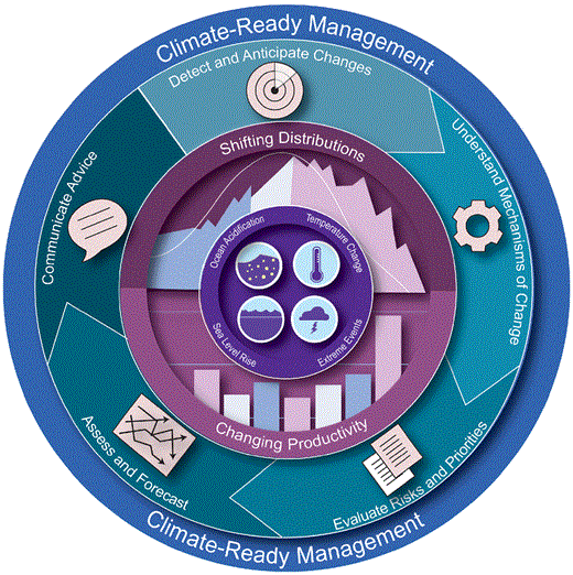 Climate-ready fisheries management process. Changing climate conditions are represented at the centre of the diagram as ocean acidification, temperature change, sea level rise, and extreme events. These cause changes in the biotic community, such as shifting distributions and changing productivity, as indicated in the next ring out from the centre. To enable managers to account for these changes and move toward climate-ready fisheries management (outermost ring), scientists and managers need to be able to detect changes, understand mechanisms of those changes, evaluate risks and priorities, conduct assessments and develop forecasts, and communicate results and advice to managers and stakeholders.