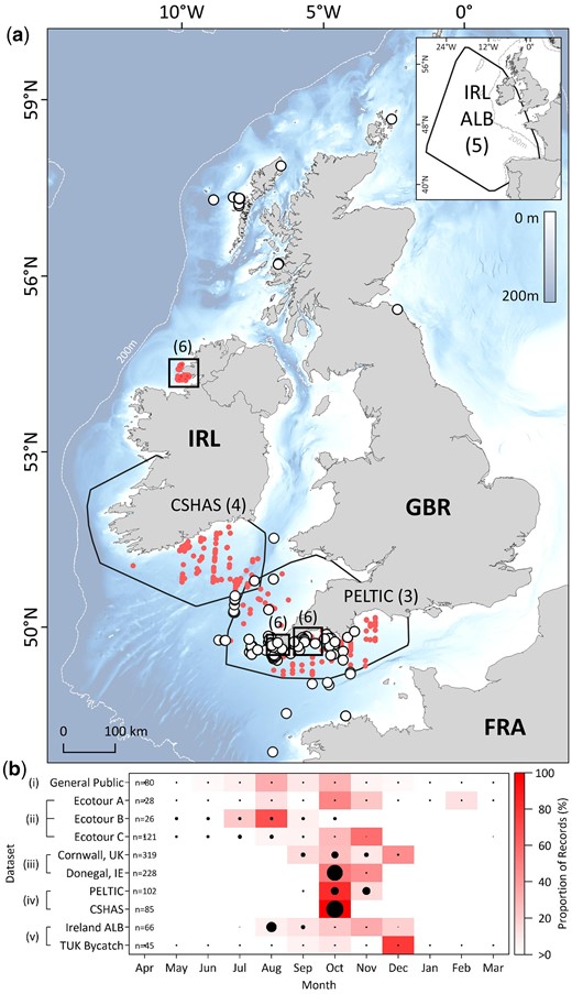 Occurrence of Atlantic bluefin tuna off the United Kingdom and Ireland. (a) Opportunistic sightings of surface-feeding shoals of ABT, corrected for effort (white filled circles) and non-effort corrected (red circles). Black polygons in main and inset map delineate spatial extents of effort-based datasets (numbers in parentheses indicate corresponding figure in this manuscript that shows data in more detail). Bathymetry courtesy of the Generalized Bathymetric Chart of the Oceans (GEBCO, https://www.gebco.net/). (b) Temporal range of occurrence data (effort normalized where possible) pooled for all survey years. Black filled circles denote months where effort was expended, and size of circle denotes relative effort. Occurrence datasets are labelled as outlined in the materials and methods.