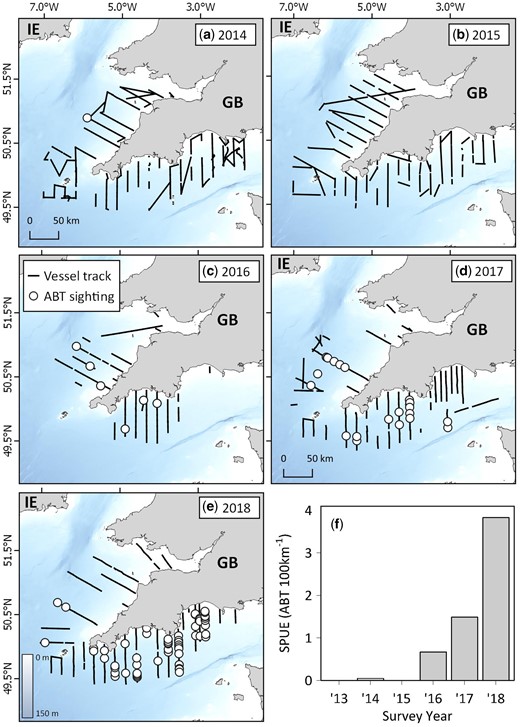 Multi-annual sightings of Atlantic bluefin tuna from the Cefas PELTIC survey between 2014 and 2018. (a–e) Vessel tracks (where observers were on effort and Beaufort Sea States were four or less) and ABT sightings off the southwestern United Kingdom, and (f) time series of ABT sightings per unit effort (SPUE) between 2013 and 2018.