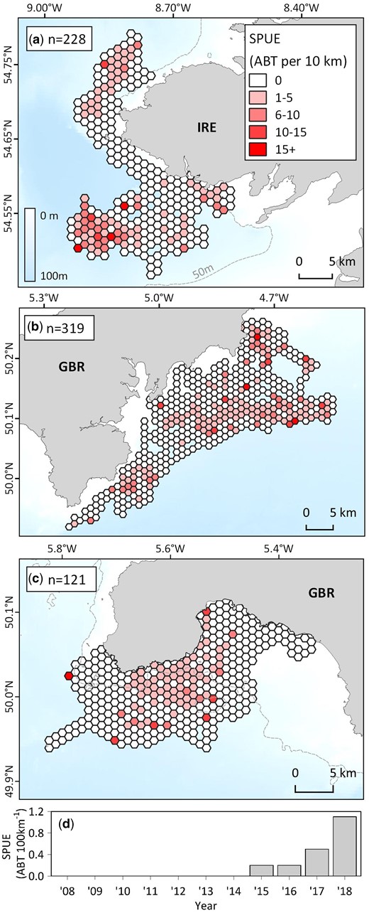 Opportunistic Atlantic bluefin tuna sightings collected off the United Kingdom and Ireland. Effort corrected maps with 1 km hexagonal grids detailing spatial variability in ABT sightings per unit effort (SPUE) from opportunistic surveys during electronic tagging research off (a) Donegal, Ireland (2016; Horton et al., 2020), (b) the southwestern United Kingdom (2018), and (c) during ecotour trips for ecotour C (2008–2018; for annual maps see Supplementary Figure S9). (d) time series of ABT SPUE for ecotour C. Broader spatial context for plots is provided in Figure 2.
