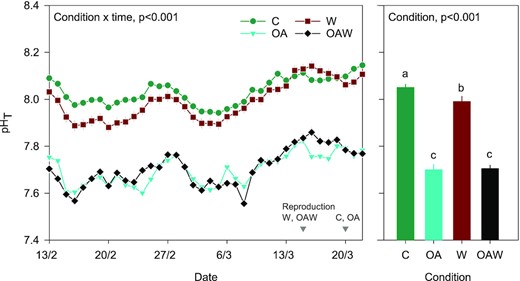 Temporal dynamics of pHT (on the total scale) in oyster tanks for each condition (left panel) and averaged values during the course of the experiment (right panel). Data are least-square means ± SE among tanks (n = 3 or 6). The dates of reproduction are indicated in grey for each condition in the left panel. Abbreviations: C—control (18°C, ambient pH), OA—ocean acidification (18°C, −0.33 pH unit), W—warming (21°C, ambient pH), and OAW—ocean acidification and warming (21°C, −0.33 pH unit).