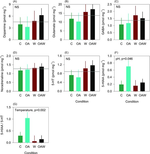 Concentration of parent neurotransmitters (A–F) in visceral ganglia of adult oysters, and 5-HT turnover expressed by the 5-HIAA/5-HT ratio (G). Data are least-square means ± SE among tanks (n = 3 or 6). Effects and p-values are shown when significant otherwise the mean is shown by the grey line when non-significant (NS). Abbreviations: 5-HT = serotonin or 5-hydroxytryptamine; 5-HIAA = 5-Hydroxyindoleacetic acid; C—control (18°C, ambient pH), OA—ocean acidification (18°C, −0.33 pH unit), W—warming (21°C, ambient pH), and OAW—ocean acidification and warming (21°C, −0.33 pH unit).
