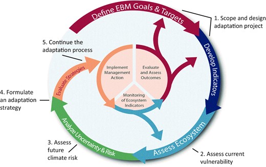 The NOAA integrated ecosystem assessment approach adapted with permission from NOAA Fisheries, (NOAA IEA program, URL: https://www.integratedecosystemassessment.noaa.gov/national/IEA-approach, last accessed 5 May 2021, Samhouri et al. 2014) with the main steps of the United Nations Development Programme—Global Environmental Finance Adaptation Policy Framework (UNDP-GEF APF, Burton et al., 2004) inserted at similar points along the cycle.
