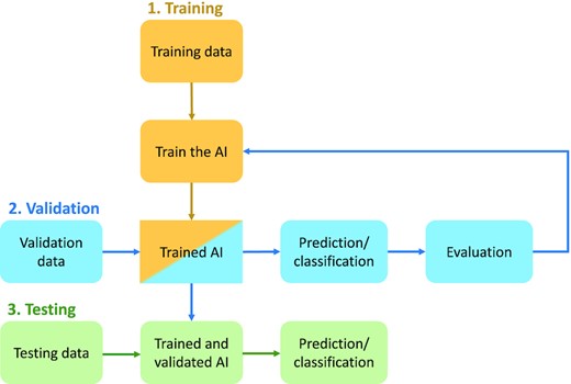 The workflow of AI based strategies. (1) The (yellow) column illustrates the training phase, in which labelled data is used to train the AI algorithm. (2) The first row (blue) shows that the performance of the trained AI is evaluated using a validation data set and the AI algorithm may be updated and refined in this process. (3) The bottom row (green) shows the application phase, using the AI on a test data set once the training and validation are completed.