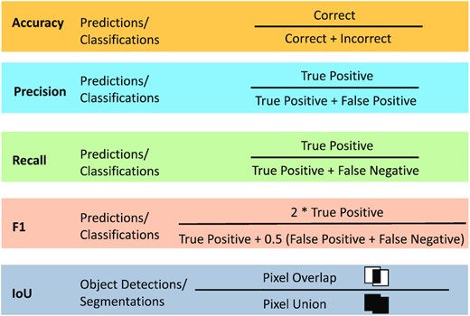 Evaluation metrics accuracy, precision, recall, F1-score, and Intersection over Union (IoU) for classifications, predictions, object detections, and segmentations.