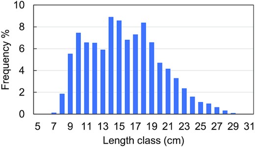 Length distribution of perch in the experimental multimesh gillnet catches in Brunskär, Korppoo, Archipelago Sea in 2002–2020. Mesh sizes 10–60 mm (bar length).