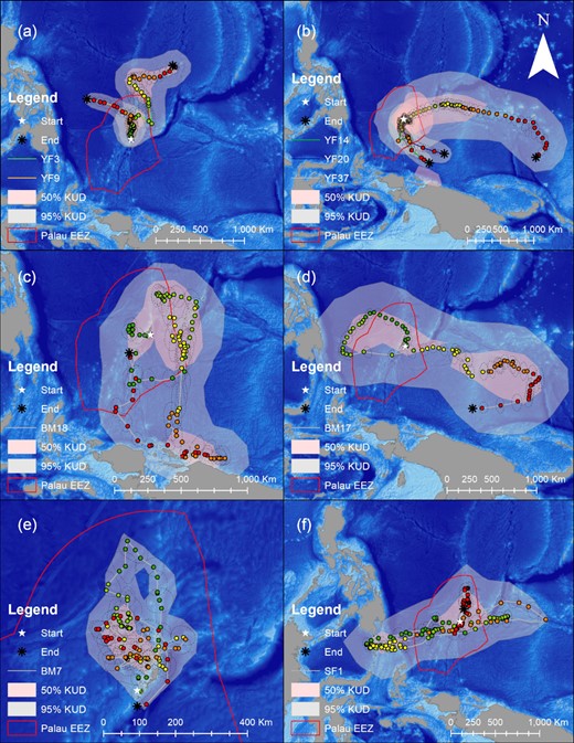 Examples of the most likely tracks for tagged yellowfin tuna (a and b), blue marlin (c, d, and e) and sailfish (f) in this study with their individual Kernel Density Distributions (KUDs) representing the spatial areas where there was a 95% (grey shading) and 50% (red shading) probability of finding the individual fish over the duration of its track (note, see Supplemental Material 1 for information on the size and track duration of each fish, the colored dots represents the fishes most likely daily locations, the color gradient of the dots follow's the duration of each fishes track from green to yellow to orange to red, the dashed black ellipse lines represent geolocation model error, white stars indicate the fishes release location, black asterixs indicate the tags popup location and the red polygon represents the boundaries of Palau's EEZ).