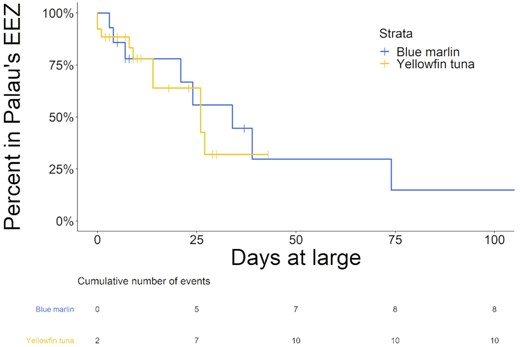 Survival curves and event tables for blue marlin and yellowfin tuna within the Palau's EEZ (note, the vertical lines on the survival curves of each species, represent points in time where individuals were censored from the analysis due the release of their tags prior to departing the Palau's EEZ).