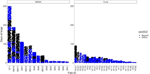 The presence and absence of billfish and yellowfin tuna in the Palau's EEZ after a given number of days at large. Blue dots indicate an observation of a tracked fish within the EEZ, black dots indicate an observation the fish when it is out of the EEZ (SF = sailfish, BM = blue marlin, and YF = yellowfin tuna, see the Supplemental Material 1 for the % of observations that are within Palau's EEZ).