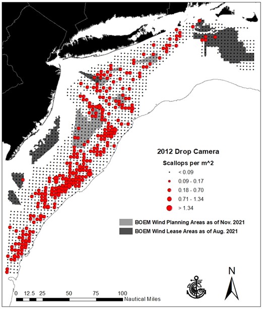 The 2012 SMAST drop camera survey grid, each dot represents a station with four 2.3 m2 quadrats sampled, red dots represent scallop density, light-grey areas represent planned windfarm areas, and dark-grey represent areas already leased by BOEM to windfarm development companies. A recent call for information on areas in the central Atlantic was issued on the 16 February 2022, updated information can be found on the Northeast Data Portal (https://www.northeastoceandata.org/).