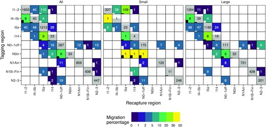 Connectivity matrices showing recaptures and migration for all, small (≤50 cm), and large (>50 cm at tagging) fish. Y- and X-axes indicate the tagging and recapture regions, respectively. Regions are ordered from east to west, and the abbreviations are explained in Figure 2. Numbers in cells represent the number of recaptured fish and the coloured fill in non-diagonal cells migration percentage. The grey fill in diagonal cells indicates the percentage of fish recaptured in the same region as they were tagged. If the entire cell is grey, the percentage is 100. A half-filled cell would indicate 50% residing fish. The bars inside cells indicate coefficient of variation (CV) for the bootstrapped migration estimates. If a bar reaches the cell above, CV = 1. If a bar is missing, CV = 0. The bars and text are coloured white or black to enhance readability.