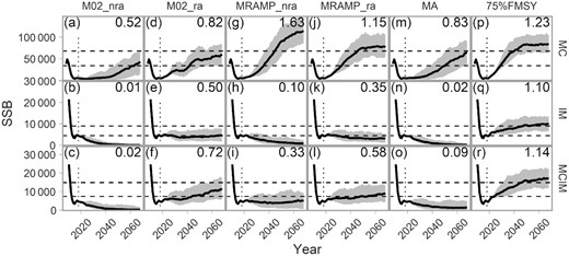 Projected SSB for the cod OMs (rows) under each MP (column). Solid lines indicate the median and the grey region the 90% CI among 100 simulations. Dashed, horizontal lines indicate 50 and 100% SSBMSY (Table 3). Dotted, vertical lines indicate the start of the projection period. Numbers in the upper right corner of each panel indicates the median SSB/SSBMSY during the last decade of the projection.
