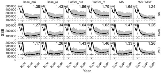 Projected SSB for the pollock OMs (rows) under each MP (column). Solid lines indicate the median and the grey region the 90% CI among 100 simulations. Dashed, horizontal lines indicate 50 and 100% SSBMSY (Table 3). Dotted, vertical lines indicate the start of the projection period. Numbers in the upper right corner of each panel indicates the median SSB/SSBMSY during the last decade of the projection.
