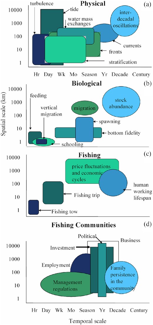 Typical temporal and spatial scales for various processes and characteristics of physical, biological, fishing, and fishing communities related to marine systems. Redrawn from Perry et al. (2010).