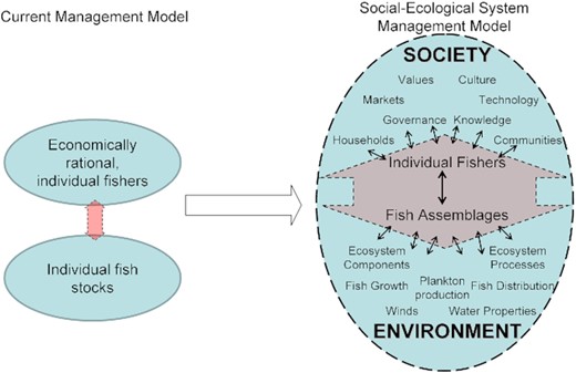 Diagram of the concept of most current fisheries management models (left side) compared with the concepts that need to be included in a broader social-ecological systems (SES) approach to fisheries management (redrawn from Ommer et al., 2012).