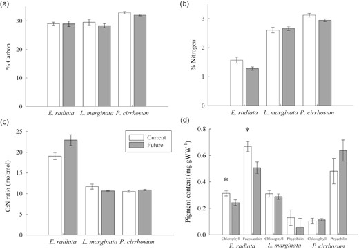 (a) Percent tissue carbon, (b) % tissue nitrogen, (c) C:N ratio, and (d) pigment content for E. radiata, L. marginata, and P. cirrhosum under current (400 ppm, pH 7.85–8.15, white bars) and future (850 ppm, pH 7.50–7.80, grey bars) fluctuating CO2 concentrations. Bars are mean ± SE (n = 8). Significant differences between current and future CO2 indicated by asterisks (*). For one way and two-way ANOVAs and post hoc test results see Supplementary Tables S2 and S3.