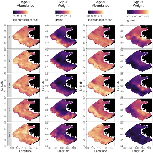 Model estimates of area-expanded abundance log(abundance, numbers of fish) and weight (grams) for age-1 and age-9 walleye pollock (G. chalcogrammus) for subset of years (1982, 1990, 2000, 2010, and 2019).