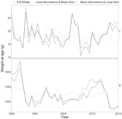 The population size-at-age matrix from the full model (i.e. calculating the abundance-expanded size-at-age with both local size-at-age and local abundance-at-age) (solid black line) compared to the size-at-age matrix calculated using (1) local abundance but mean size-at-age (i.e. showing the contribution of local size-at-age) (dotted line) and (2) mean abundance but local size-at-age (i.e. showing the contribution of local abundance) (dashed line). See Supplementary Figure 6 for all age classes.