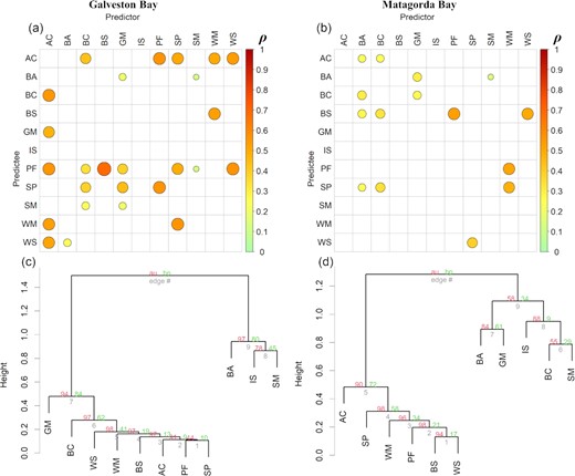 (a and b): Cross map coefficient (ρ) matrix calculated from Simplex-based CCM for Galveston Bay and Matagorda Bay, respectively. Significant causations are highlighted with circle. The size and colour of the circle indicate the strength of causation. (c and d): Cluster dendrogram of species with shared dynamic features for Galveston Bay and Matagorda Bay, respectively. The “approximately unbiased (au)” p-value and “bootstrap probability (bp)” p-value for clustering were computed by using multi-scale bootstrap resampling and normal bootstrap resampling, respectively. Species names and abbreviations are listed below: Atlantic croaker (AC), bay anchovy (BA), blue crab (BC), brown shrimp (BS), Gulf menhaden (GM), inland silverside (IS), pinfish (PF), spot (SP), striped mullet (SM), white mullet (WM), and white shrimp (WS).