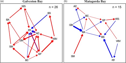 Species interaction network in (a) Galveston Bay and (b) Matagorda Bay. Red and blue colours indicate positive and negative interactions, respectively. The arrow thickness represents the interaction strength. The number of interactions is shown on the top right. Species names and abbreviations are listed below: Atlantic croaker (AC), bay anchovy (BA), blue crab (BC), brown shrimp (BS), Gulf menhaden (GM), pinfish (PF), spot (SP), striped mullet (SM), white mullet (WM), and white shrimp (WS).