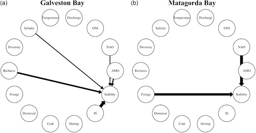 Causal linkages between ecosystem stability and other ecosystem components in (a) Galveston Bay and (b) Matagorda Bay. The arrow thickness indicates the causal strength. Note that lag effects (0–6 months) are shown in Table 4.