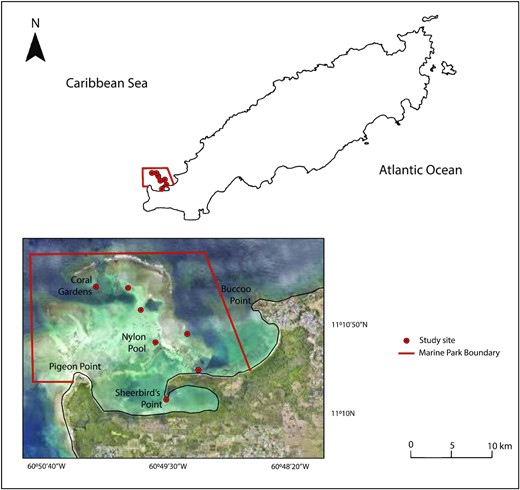 Location of the study area—the Buccoo Reef Marine Park in Tobago (with sites for the wider study identified). (Basemap source: Surveys and mapping Division, Ministry of Agriculture, Land, and Fisheries, Government of Trinidad and Tobago).