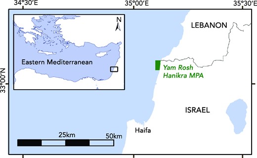 Location of study site. Yam Rosh Hanikra MPA is marked by a green polygon.