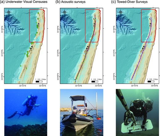 Sampling methods used in this study (a) UVC, (b) Acoustic surveys, (c) TDS. For each method, the top panels show a map with sampling locations/routes (colored diamonds/lines) relative to the MPA borders (red polygons). The bottom panels illustrate typical fieldwork.