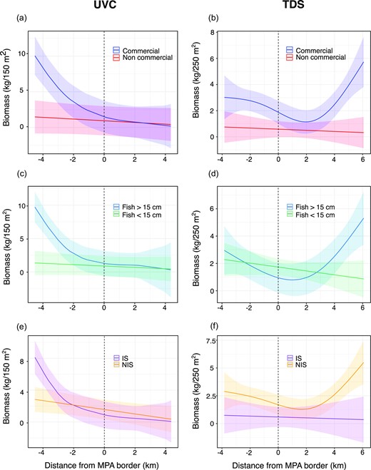 The effect of fish characteristics on the spatial patterns of fish biomass across Yam Rosh Hanikra MPA border. (a, b) fish commercial value (commercial/non-commercial), (c, d) fish size (< 15 < cm), and (e, f) fish origin (IS: indigenous species, NIS: non-indigenous species). Left panels are based on UVC data and right panels are based on TDS data. The Y axes are fish biomass per area and the X axes are distance (km) from the MPA border. Dashed vertical lines represent the MPA border. Response variables are shown on the linear (non-log-transformed) scale for visualization purposes. Shaded areas around the model curves denote 95% confidence intervals.