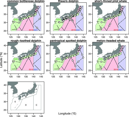 Track lines of the latest surveys (Fisheries Research and Education Agency Cetacean Sighting Survey, FRACSS) conducted in 2019–2021 and sighting positions of six FTCS. The survey area was stratified into five blocks, A (18890.89 square nautical miles, nmi2), B (44095.38 nmi2), C (182656.36 nmi2), D (213731.42 nmi2), and E (120949.01 nmi2).
