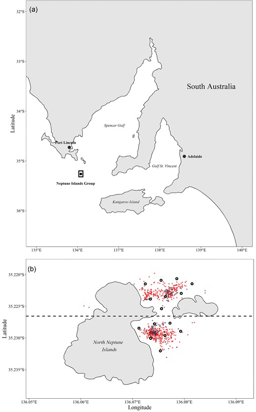 Map of the Neptune Islands showing (a) location within South Australia, and (b) acoustic receiver array detailing V2AR acoustic receivers (black circles), and anchoring locations of food-based (red) and acoustic (blue) cage-diving operators between November 2018 and August 2020.