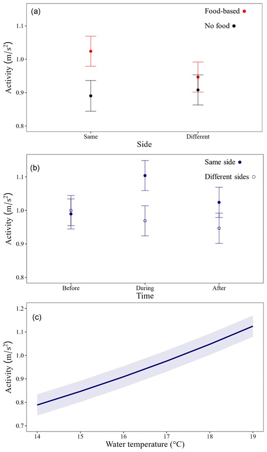 Predicted activity (m/s2; marginal means) of kingfish at the Neptune Islands showing interactions between (a) provisioning and side of the island, (b) time of day and side of the island, and (c) water temperature.