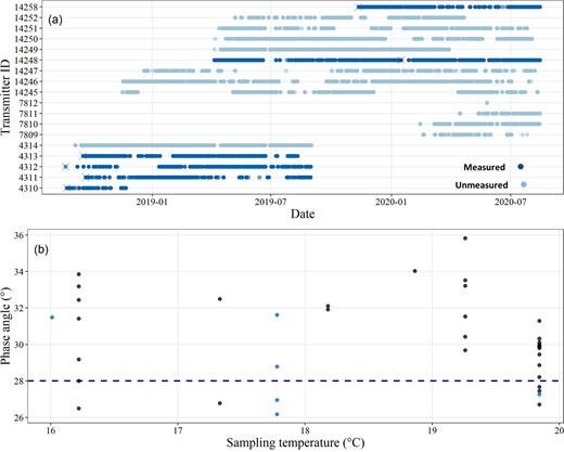 (a) Residency of acoustically-tagged kingfish at the Neptune Islands, with individuals sampled using BIA. Crosses represent dates on which body condition measurements were taken. (b) Body condition (electrical phase angle) of kingfish sampled at the Neptune Islands during food-based provisioning operations. Blue circles represent acoustically-tagged individuals, black circles are untagged kingfish. The horizontal dashed line (y = 28°) represents the value above which kingfish are considered in good body condition (Champion et al., 2020b).