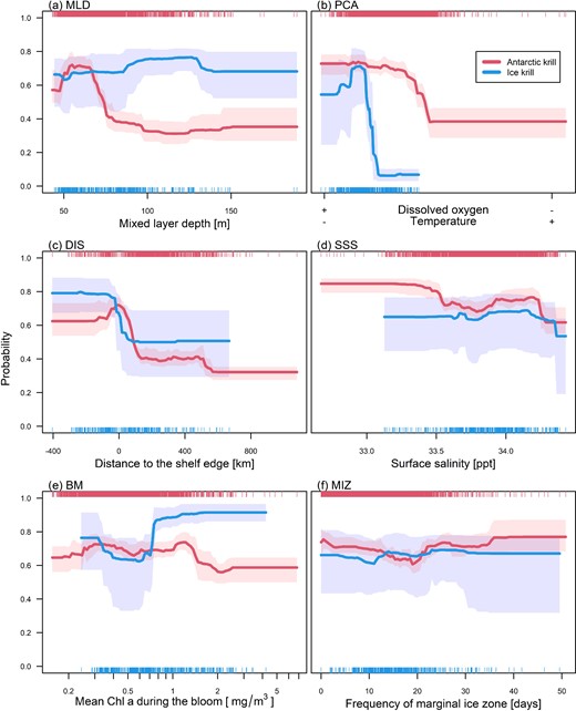 Marginal response plot of the six most influential variables (see Supplementary Figure S4, keeping all other variables at their median) for both species' ensemble models: (a) MLD; (b) latent variable of SST, temperature at 200 m, and sea surface dissolved oxygen concentration (PCA); (c) distance to the continental shelf edge (DIS); (d) SSS; (e) average bloom intensity (BM); (f) frequency of marginal sea ice zone (MIZ). Shaded areas illustrate the variability of the response across the 10 model runs. Rug plots at the top and bottom of each plot denote the observational data distribution for Antarctic krill (E. superba) and Ice krill (E. crystallorophias), respectively.