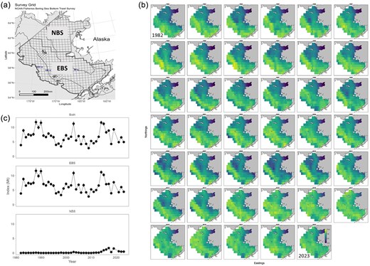 Alt text: Three-paneled figure showing (a) Bering Sea survey grids, (b) spatial maps indicating that fish density is higher further offshore and has moved into the NBS in more recent years, and (c) time series of survey abundance indicating that biomass is far greater in the EBS, but has increased in the NBS in recent years.