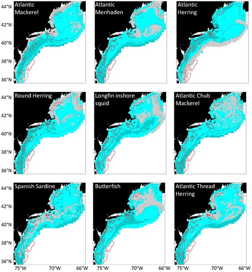 Alt text: Nine-paneled figure showing maps of overlap between offshore wind lease areas and SDMs of nine fish species on the Northeast U.S. shelf.