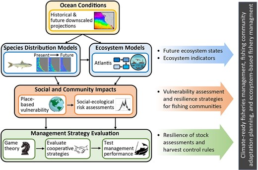 Alt text: Conceptual diagram illustrating the hierarchical nature of information and workflows, building from ocean conditions which feed into species distribution models, through to management strategy evaluations, with examples of information products resulting from each step.