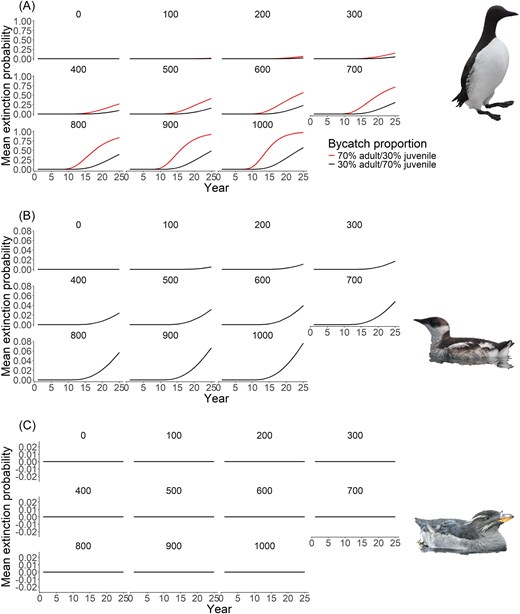 Mean extinction probability over 25 years for (A) common murre, (B) marbled murrelet, and (C) rhinoceros auklet under varying levels (and proportions where applicable) of bycatch. For panel A, red shows the projection where the majority of individuals being killed from bycatch are adults, while black shows the projection where the majority of individuals being killed from bycatch are juveniles.
