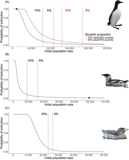 Projection of extinction risk over 25 years for (A) common murre, (B) marbled murrelet, and (C) rhinoceros auklet under varying initial population sizes given most recent estimates of annual bycatch. Red dashed lined indicates population size with 10% chance of extinction, black dashed line indicates population size with 5% chance of extinction. For panels A and B, black dot indicates current population size estimate. Population size estimate for rhinoceros auklet is ∼200 000 to 300 000 pairs. For panel A, red shows the projection where the majority of individuals being killed from bycatch are adults, while black shows the projection where the majority of individuals being killed from bycatch are juveniles.