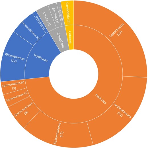 Total number of species in each order of jellyfish recorded in Hong Kong aggregated from a review of the historical literature and contemporary citizen science reports. The inner ring represents the class to which each jellyfish species belongs, while the outer represents the order.