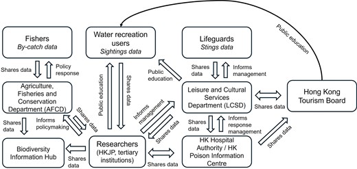 Proposed Hong Kong jellyfish network. The network could be used to monitor jellyfish, research their dynamics and societal impacts, and inform management.