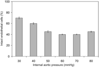 Percentage of intact endothelial cells at different intra-aortic pressures (30–80 mmHg) for a clamping duration of 1 min.