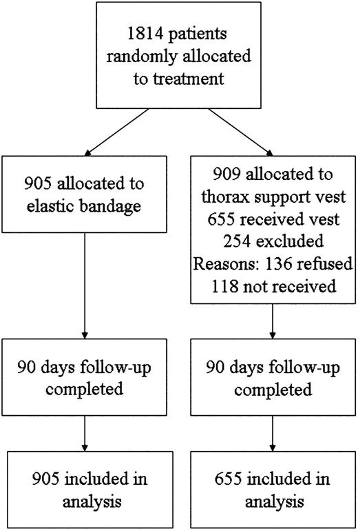 Flow diagram of all allocated and analyzed patients.