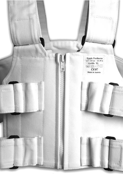 Front view of the sternum support vest.