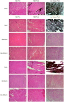 Microscopic images before implantation and after harvest (×40). The GAO group had very heavy calcifications, as expected. Most notably, we could see substantial calcifications, even in the GAU and GAG groups even if the calcium concentrations were dramatically reduced from 1/50 to 1/15 in the GAU and GAG groups compared to the GAO group. H&E, hematoxylin and eosin staining; von Kossa, von Kossa staining; Pre, before implantation; Post, after harvest; acronyms for group names were described in Table 1.