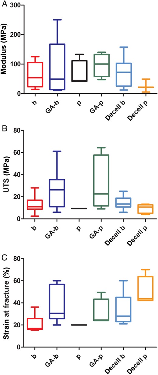 Comparison of the mechanical properties of: native bovine (b), GA-b, decell b
pericardium; native porcine (p), GA-p, decell p pericardium.
(A) Elastic modulus (MPa); (B) UTS (MPa);
(C) strain at fracture (percent). GA-b: GA-treated bovine;
decell b: decellularized bovine; GA-p: GA-treated porcine; decell p:
decellularized porcine; UTS: ultimate tensile strength.