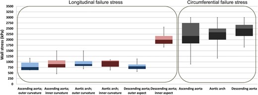 Failure stress in the different aortic segments, in longitudinal and circumferential directions. Blue boxes represent the outer curvature, and purple boxes represent the inner curvature of the aorta. Circumferential failure stress was not tested separately for the inner and outer curvatures; hence, boxes are represented in grey.