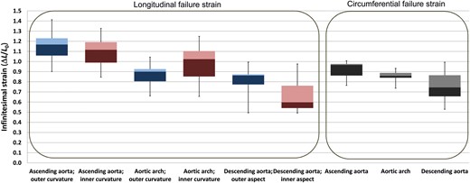 Failure strain in the different aortic segments, in longitudinal and circumferential directions. Circumferential failure strain was not tested separately for the inner and outer curvatures. Colours are analogous to Fig. 5.