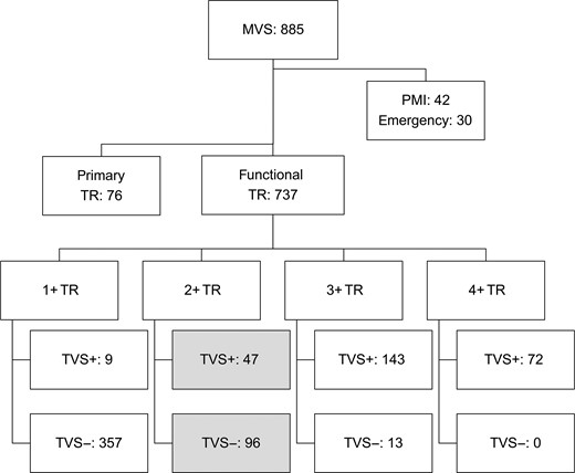 Study algorithm. MVS: mitral valve surgery; TR: tricuspid regurgitation; TVS+: with concomitant tricuspid valve surgery; TVS−: without concomitant tricuspid valve surgery; PMI: pre- or postoperative implantation of pacemaker through the tricuspid annulus.