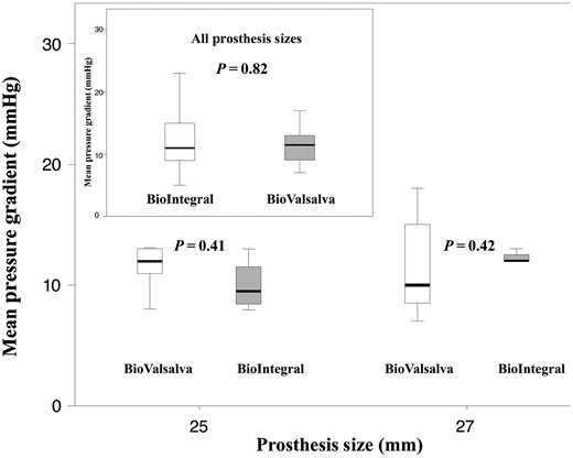 Box-plot shows the mean pressure gradient for the BV and BI conduit of 25 and 27 mm sizes (box upper left corner: all valve sizes). Box-plots indicate medians, 25th and 75th percentiles (boxes) and minimum and maximum values (whiskers). BV: BioValsalva; BI: BioIntegral.